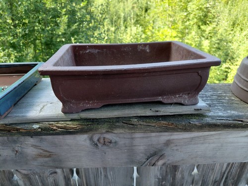 Japanischer bonsai topf - bonsai,
