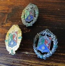 Fremdenlegion Konvolut 3 Abzeichen 1er REC Panzer Regiment  Légion