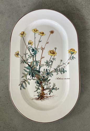 Villeroy boch botanica - villeroy, &