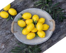 8 künstliche Zitronen gelb Ø