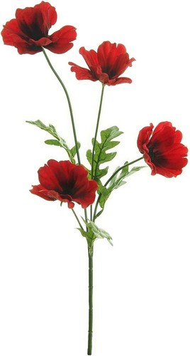 Wildwiesenmohn spray - wildwiesenmohn,
