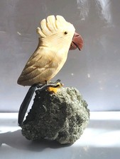 Edelsteinvogel Papagei auf