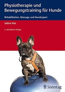 Physiotherapie und