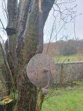 Antike Kaffeerösterpfanne
