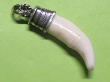 Wolfszahn    Trophäen