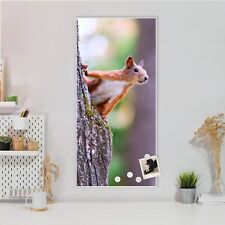 banjado Design Magnetwand aus