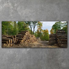 Canvas XXL Bilder Leinwand