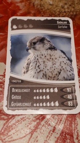 Ozeanien schätze unseres - , 7