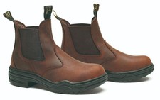 Mountain Horse Stall Jodhpur