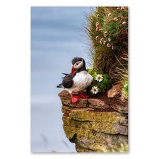 Postereck 3506 Poster Leinwand