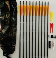 SET: 10 Carbonbolzen 20"