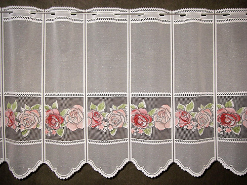 Blumen rosen edel - blumen,