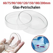 Hochborosilikat Glas Petrischale Mit Deckel Ø60 75 90 - 200mm Labor Petrischalen