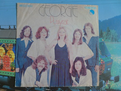 Singlecover plattenhülle - ,