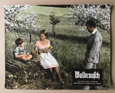 Waldrausch (Kinoaushangfoto