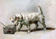 A4 Foto Earl Maud 1864 1943