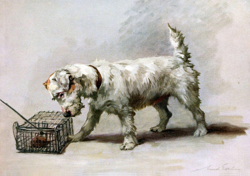 Foto earl maud 1864 1943 - 1864,