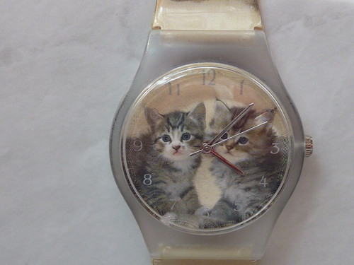 Motiv armbanduhr ca - motiv-armbanduhr, (katzen)