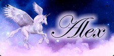 Personalized custom pegasus - custom,