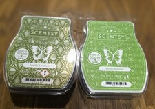 Scentsy Duftwachs Bar 2x