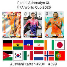 Panini Adrenalyn XL FIFA World