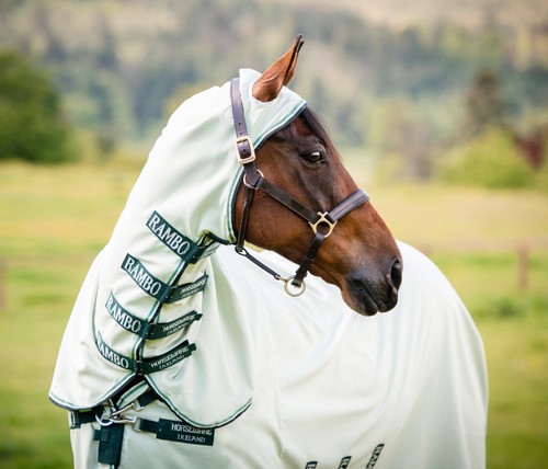 Rambo hoody - rambo®,