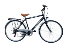 Herrenfahrrad Wanderrad