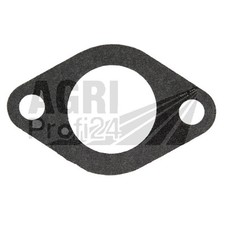 Dichtung Ansaugkrümmer