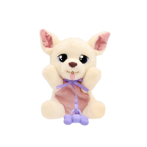 Baby paws chihuahua - paws,