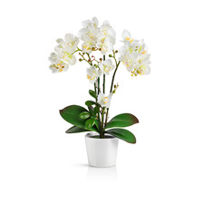 Pasch künstliche orchideen - künstliche,