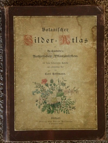 Carl hoffmann botanischer - carl, hoffmann: