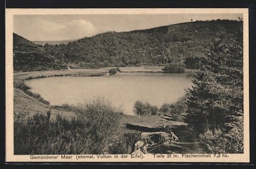 Daun eifel gemündener maar - gemündener,