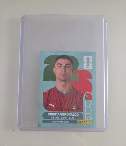 Panini fifa world cup - panini,