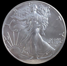 Silbermünze 1 oz American