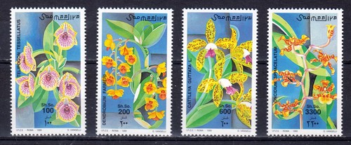 Somalia 735 orchideen - 735-38,