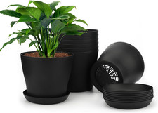 KINGLAKE 8 Stück 14Cm