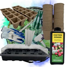 Zimmergewächshaus Kakteen