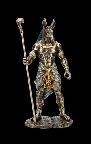 Veronese anubis kobra - veronese,