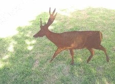 Edelrost Garten Hirsch Rost