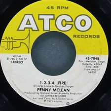 PENNY MCLEAN Smoke Gets In