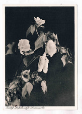 Deutsch  Ostafrika Postkarte  Kolonialkarte Nr. 8 der Reihe 4