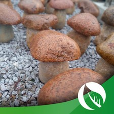 Steinpilze Gartendeko