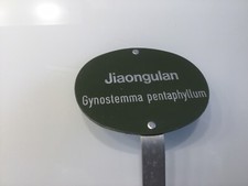 Pflanzen Kräuter Stecker 23 Cm  Alu  robust frostfest Garten Schild