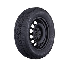 4x Winterräder für Peugeot