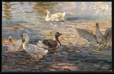 Ansichtskarte Gänse im Teich 