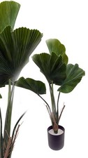 künstliche Fächerpalme 70 cm