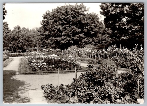 Postkarte forst lausitz - postkarte,