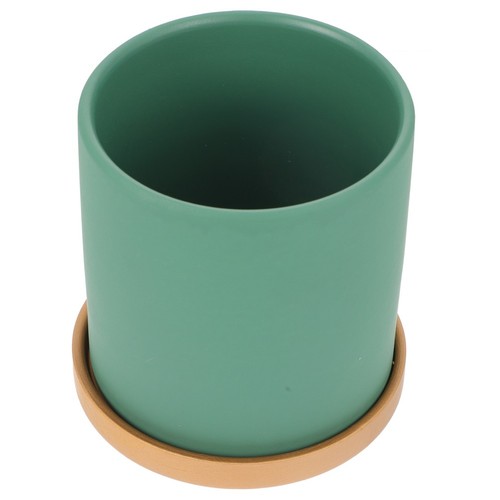 Durable ceramic succulent - durable,
