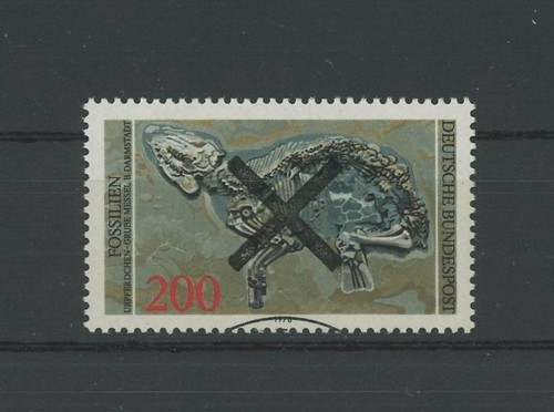 Brd andreaskreuz 975 fossilien - 975,