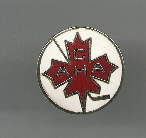 Eishockey pin verband - pin,